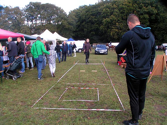 Osiemdziesiąt koni startowało w skokach przez przeszkody w Benicach