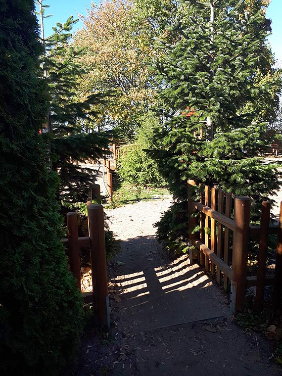 Czytelnik: Przez zbliajce si wybory urzdnicy w Midzyzdrojach zapomnieli o swoich obowizkach