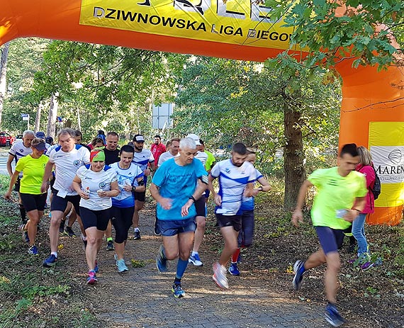 Pmaraton DLB