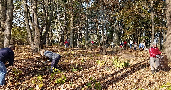 Grabowo- sprztanie poniemieckiego cmentarza 17.10.2018