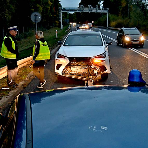 Dzik na „trójce” wyeliminował lexusa