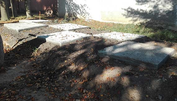 Kwesta na Cmentarzu Komunalnym w Kamieniu Pomorskim