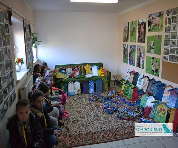 Zuchy i harcerze z Międzyzdrojów pomagają bezdomnym zwierzętom