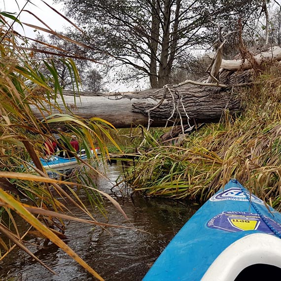 Spływ Niepodległościowy