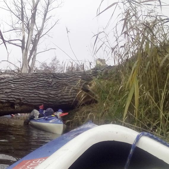 Spływ Niepodległościowy