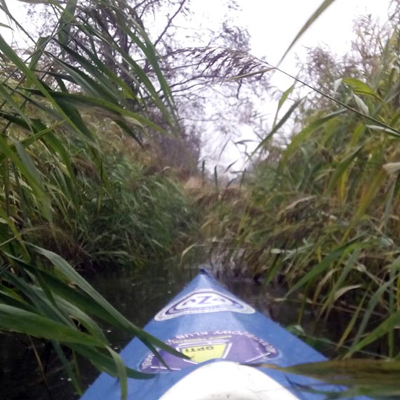 Spływ Niepodległościowy