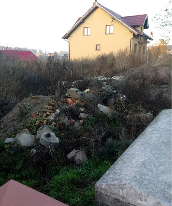 Dzia�ka-�mietnik w Wolinie