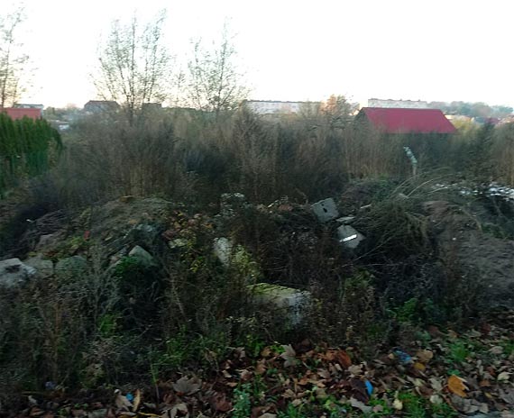 Działka-śmietnik w Wolinie