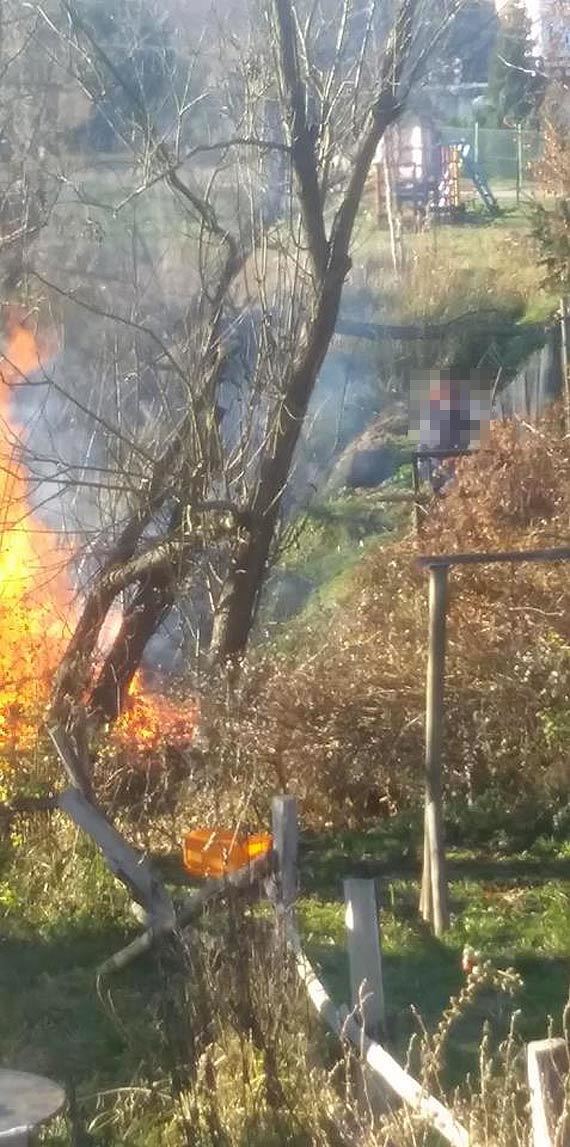 W Warnowie kto podpali teren, na ktrym yj bobry!