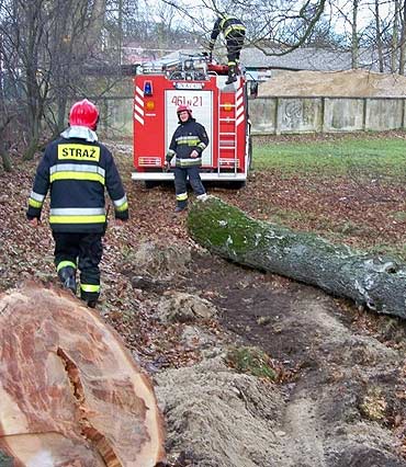 Region: Silny wiatr łamie drzewa