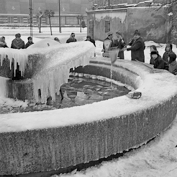 W ofercie wielu sieci handlowych nie będzie żywych karpi