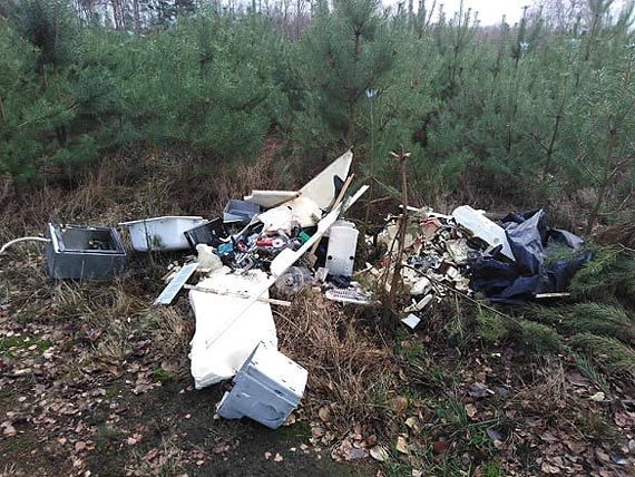 G�upota ludzka nie zna granic. Jeden z mieszka�c�w  Skoszewa natkn�� si� w lesie na dzikie wysypisko...