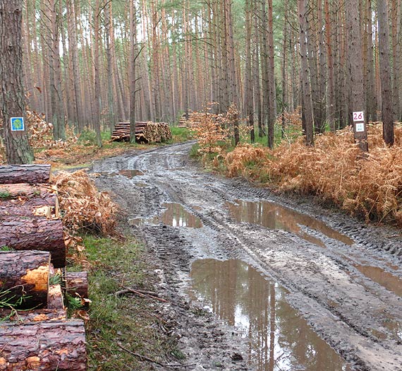   Pan Waldek na szlaku R-10- Tu nic si� nie zmienia mimo obietnic kolejnych polityk�w