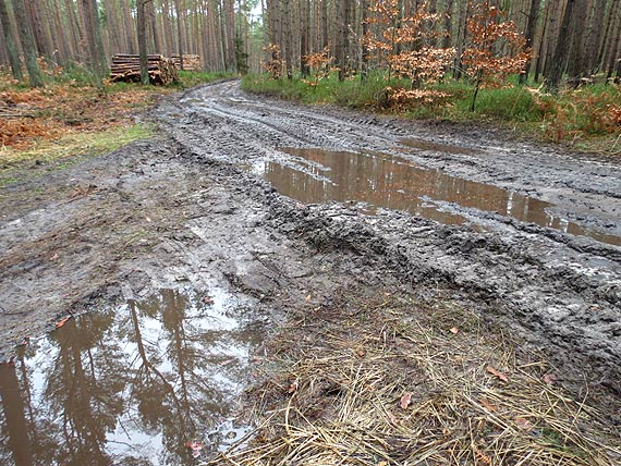   Pan Waldek na szlaku R-10- Tu nic si� nie zmienia mimo obietnic kolejnych polityk�w