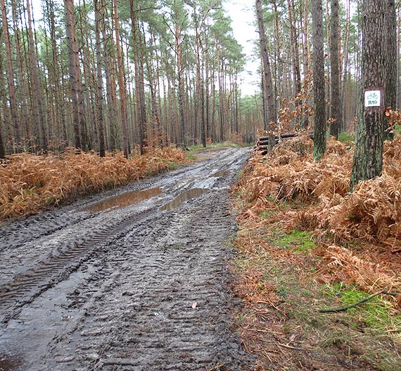  Pan Waldek na szlaku R-10- Tu nic si� nie zmienia mimo obietnic kolejnych polityk�w