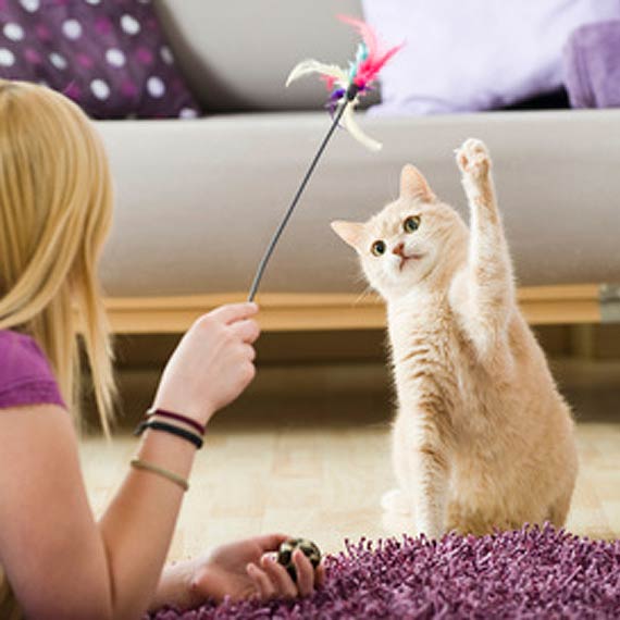 Tw�j kiciu� ma dzi� �wi�to, miauu!