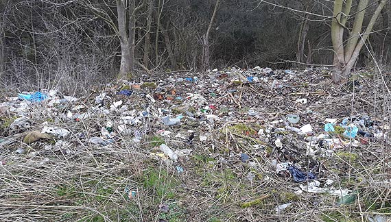 Mieszkańcy nie dbają o swoje najbliższe otoczenie
