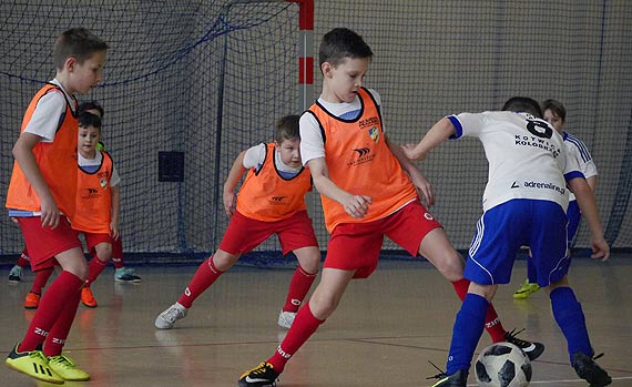 AP Gryf Winter Cup 2019 za nami