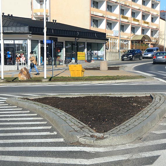 Pierwsza dostawa kwiatw ju w poowie marca?