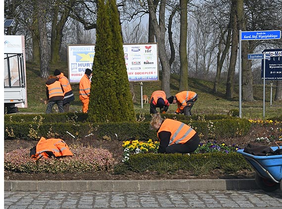 Magistrat ma swoje kwieciste tajemnice. Dowiemy si kiedy przyjdzie czas?