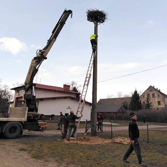 Mieszkańcy i strażacy ze Skoszewa zaprosili bociany