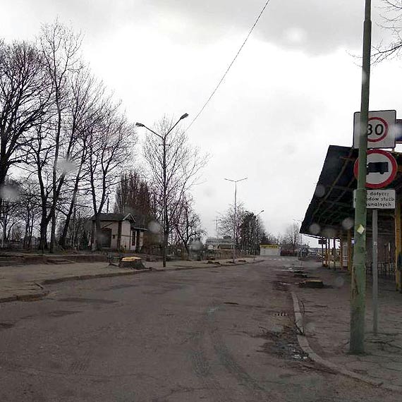 Pi�y posz�y w ruch w okresie l�gowym ptak�w