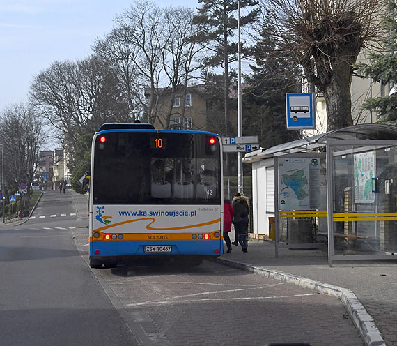 Pytamy o wa�n� lini� autobusow�