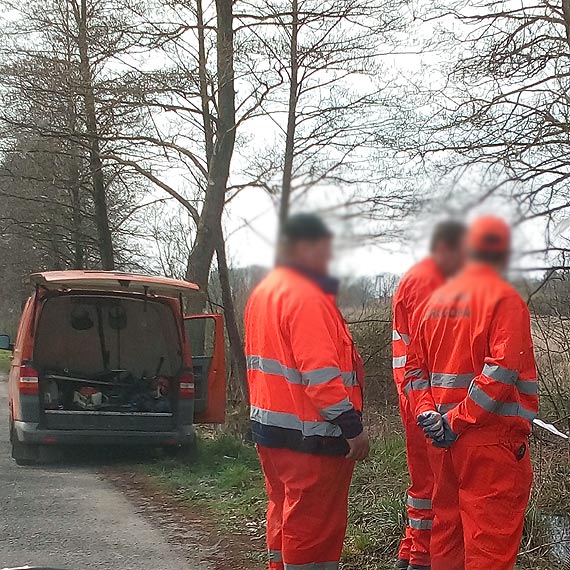 Zdecydowanie to nie był dobry pomysł. Areszt albo grzywna za bobra europejskiego