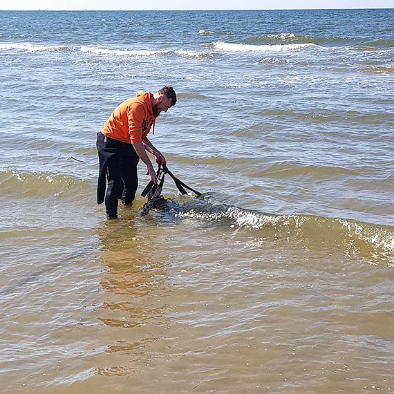 Szybka reakcja s�u�b na pla�y w Mi�dzyzdrojach