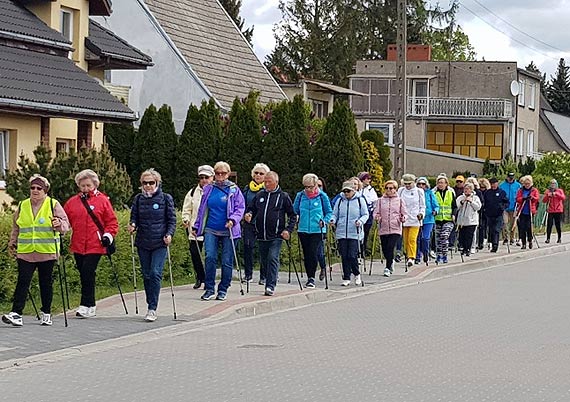 VII Oglnopolski Marsz Nordic Walking studentw UTW 2019