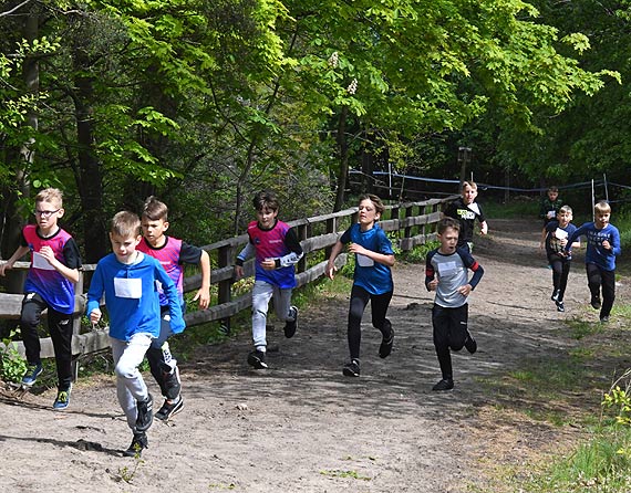 XXIII Wiosenne Biegi Prze�ajowe w Wapnicy. Zobacz fotogaleri�!