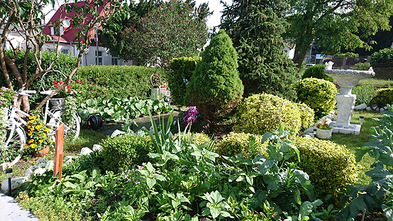 Naj�adniejsze podw�rko w Gminie Mi�dzyzdroje