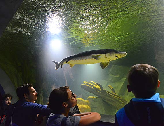 W Mi�dzyzdrojach zosta�o otwarte nowe Oceanarium