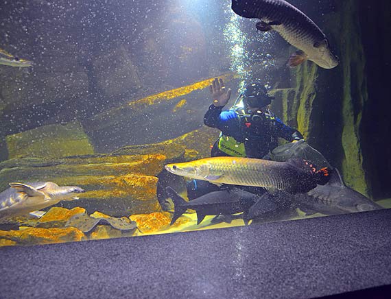 W Mi�dzyzdrojach zosta�o otwarte nowe Oceanarium