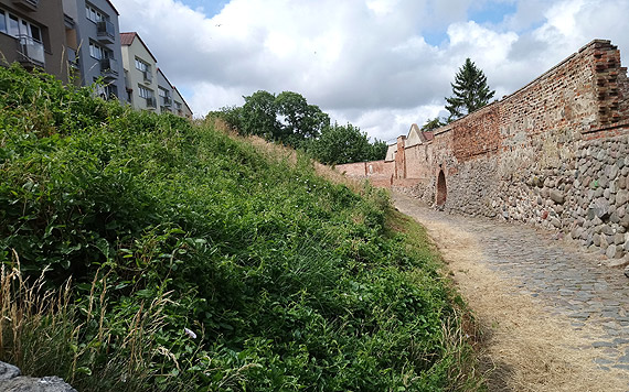 Zaniedbana skarpa szpeci estetyk� miasta