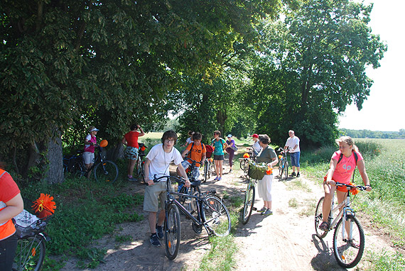 Odjazdowy Bibliotekarz 2019