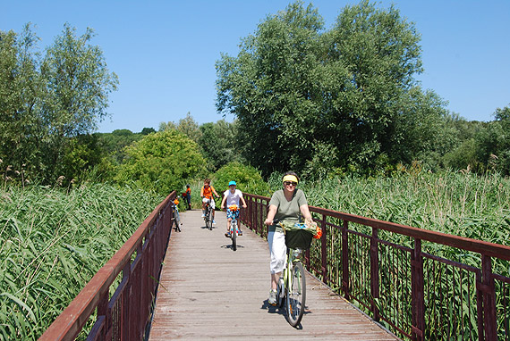 Odjazdowy Bibliotekarz 2019