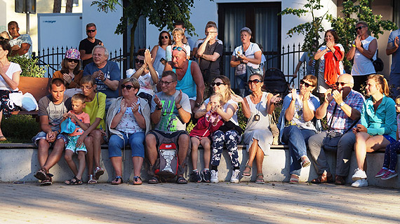 Music Flowers Orchestra