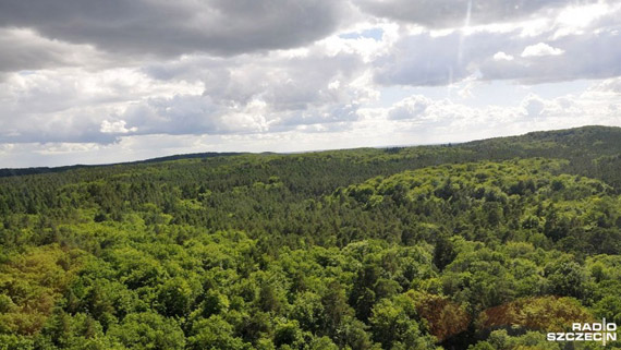 Jest dofinansowanie dla Woli�skiego Parku Narodowego