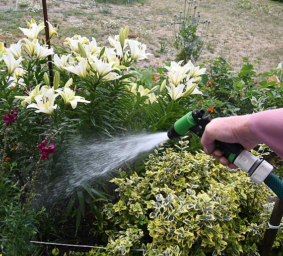 W Dziwnowie wody latem nie zabraknie