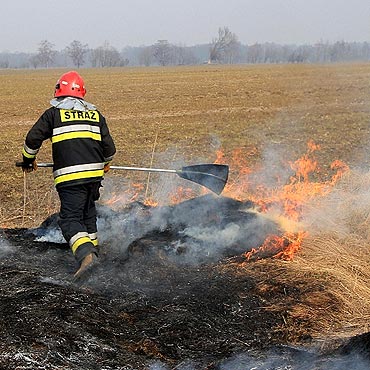 Rekowo: Pona trawa przy odwiercie ropy naftowej