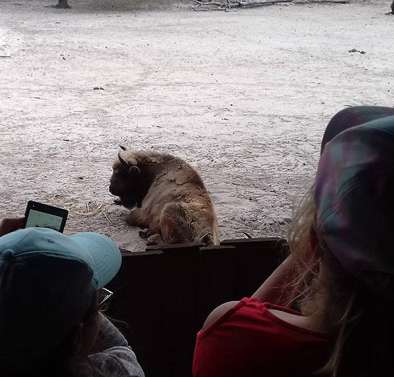 Mi�o up�ywa wakacyjny czas - p�kolonie w Szkole Podstawowej nr 1 w Mi�dzyzdrojach