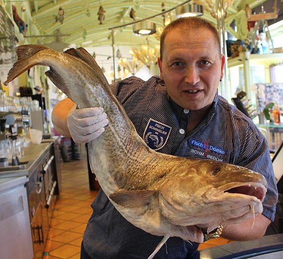 Mistrz przyrz�dzania da� rybnych zaprasza