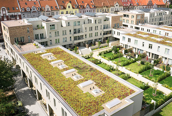 Zielony dach, czyli ogród na wysokościach