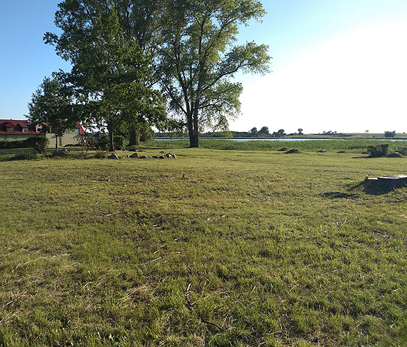 Dwie topole stan�y Burmistrzowi Kury��o na drodze do rewitalizacji „dzikiej pla�y”!