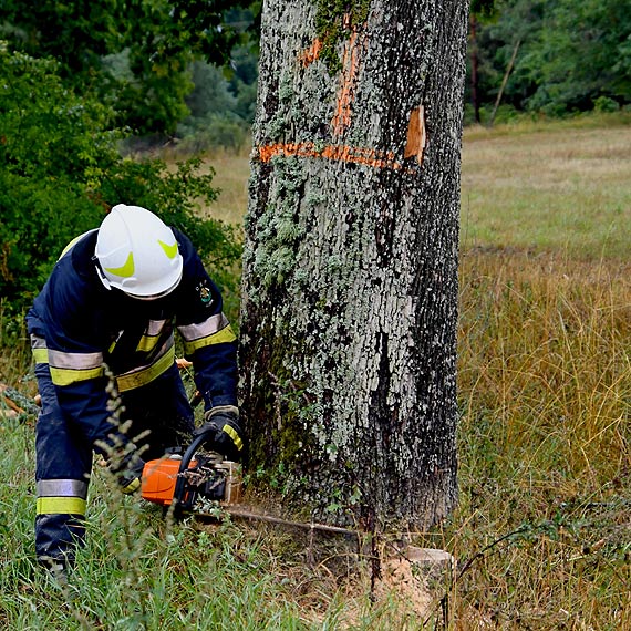 Niebezpieczna droga powiatowa w Wapnicy