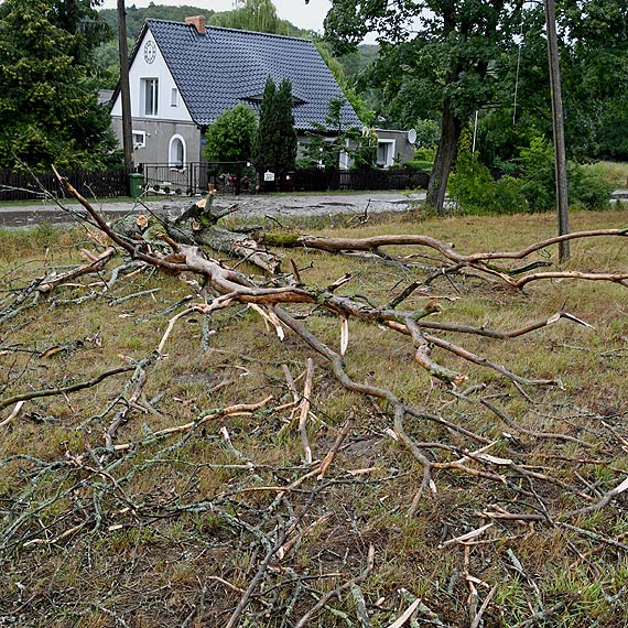 Niebezpieczna droga powiatowa w Wapnicy