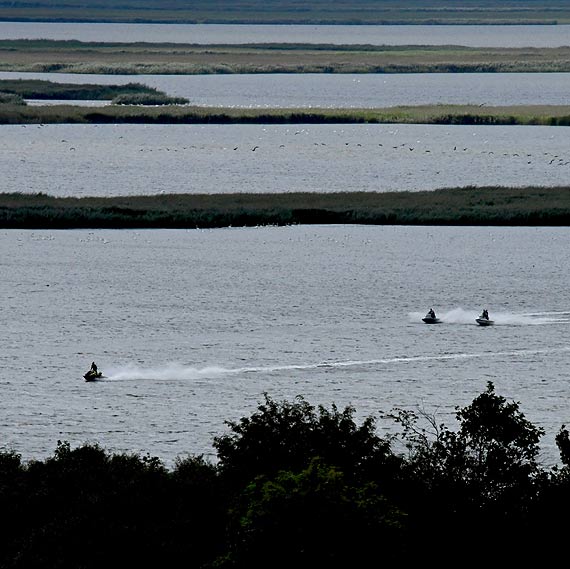 Chuliga�skie harcowanie na terenie WPN – J. Wicko