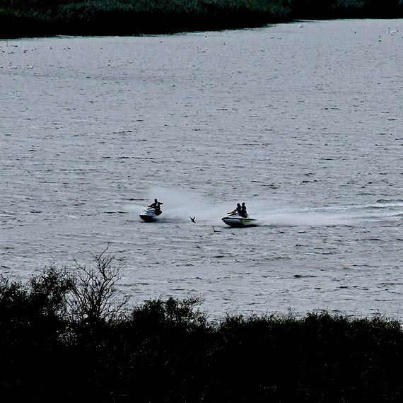 Chuliga�skie harcowanie na terenie WPN – J. Wicko