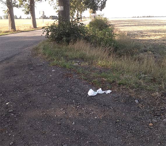 Kilka spostrze�e� na temat „kultury” kierowc�w